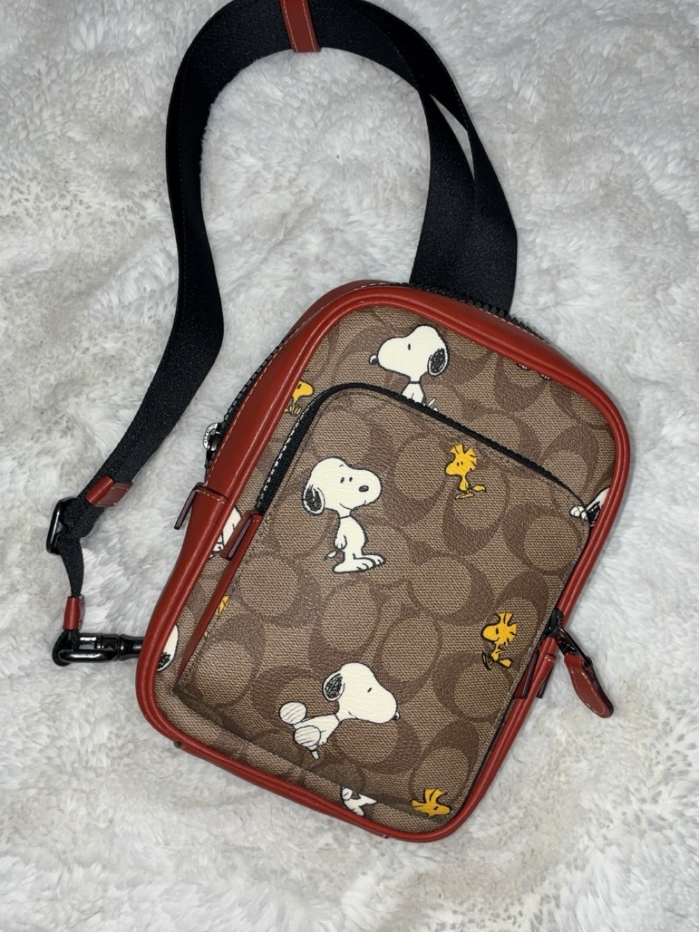 Coach x Peanuts - Picture 5 of 5